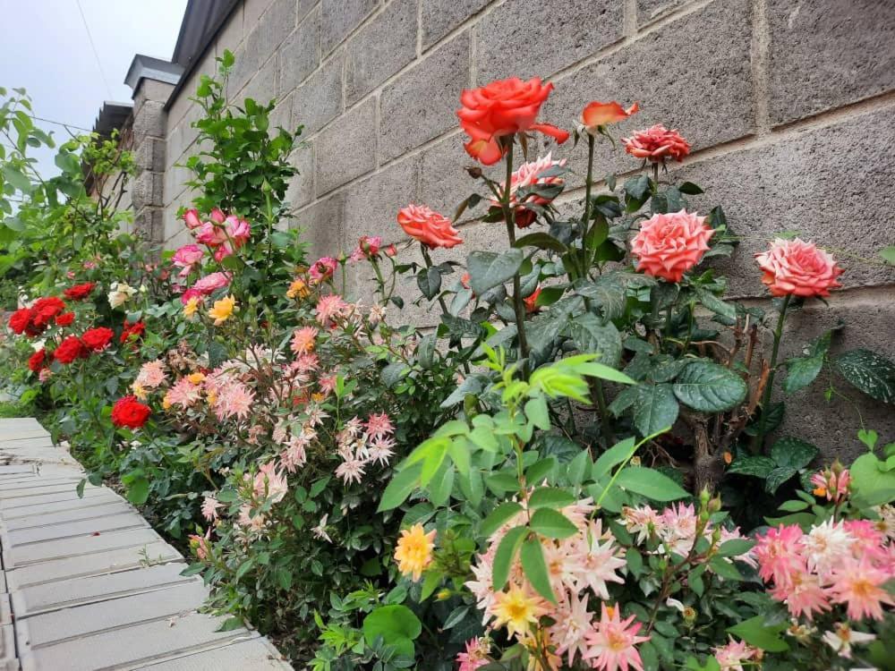 Homestay Jaisel Bishkek Exterior foto